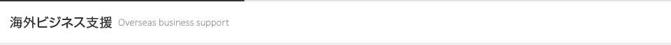 海外ビジネス支援 [Overseas business support]